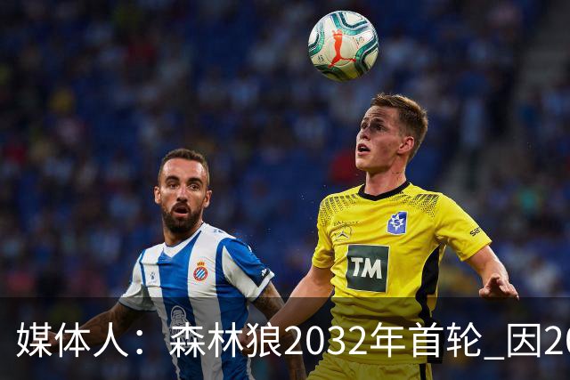 媒体人：森林狼2032年首轮 因2024-25赛季超过第二土豪线而被冻结